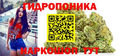 мяу мяу мука Чебоксары