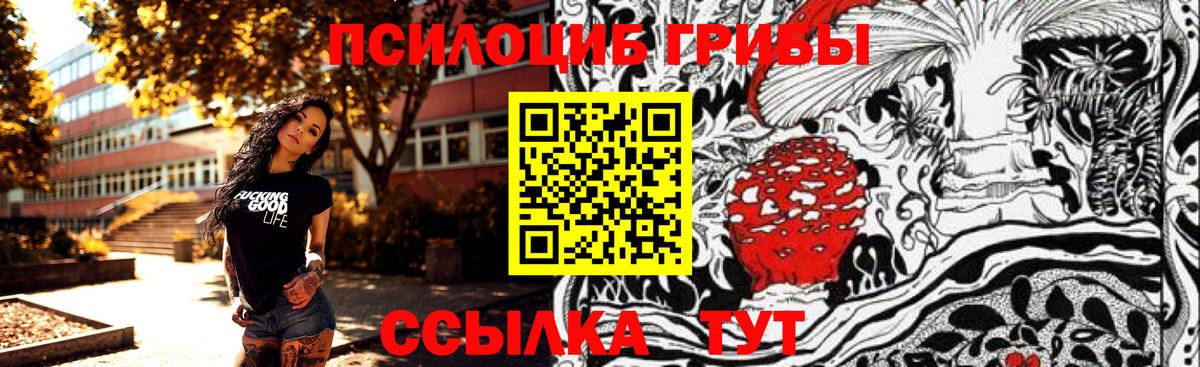 Алапаевск  Псилоцибиновые грибы прущие грибы  Вход с VPN 