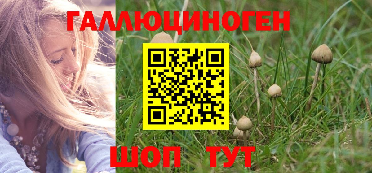 Галлюциногенные грибы Psilocybe Алапаевск